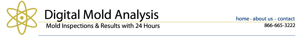 Digital Mold Analysis